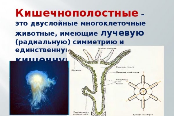 Где брать ссылки на кракен