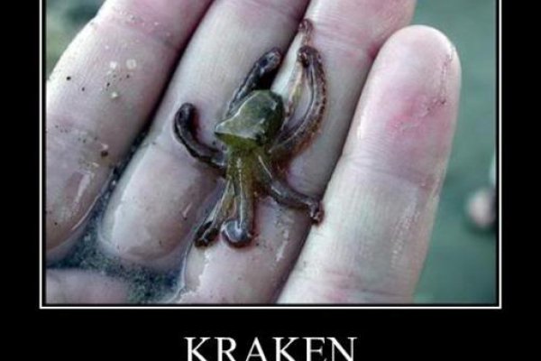 Kraken ссылка тг