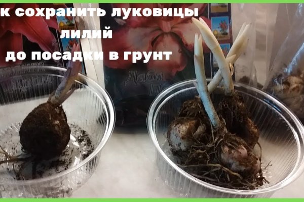 Актуальные ссылки кракен на 2025