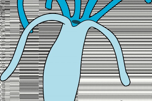 Кракен ссылка онион зеркало