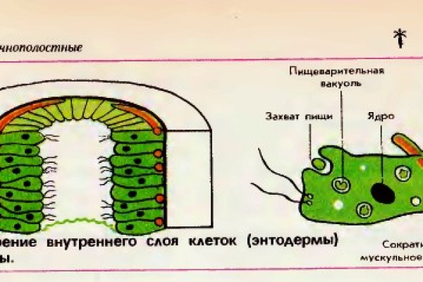 Зарегистрироваться на сайте кракен