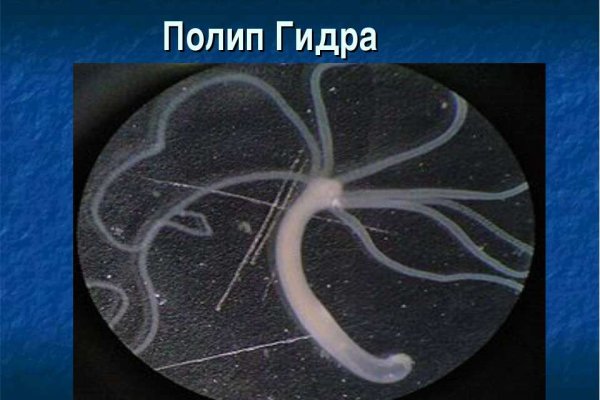 Кракен даркнет kraken link24 info