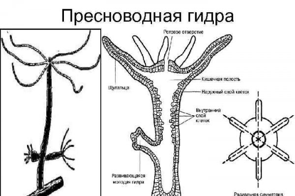 Запрещенный сайт кракен