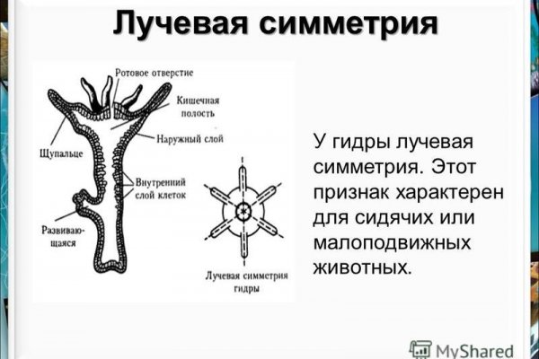 Кракен торговая площадка