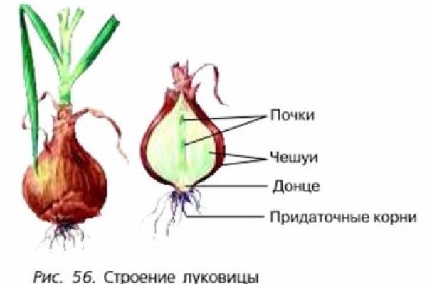 Как зайти на кракен в торе